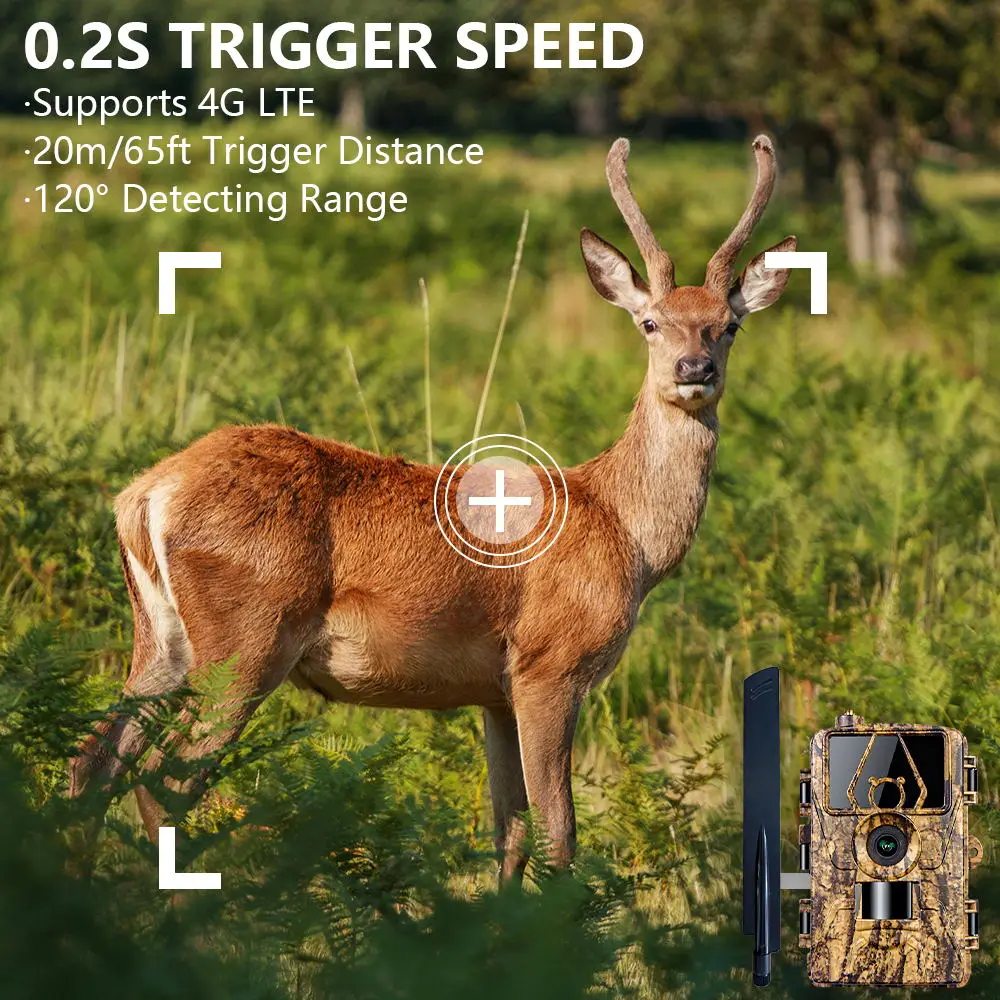 1Pcs HD8K กล้องอินฟราเรดสําหรั - Outdoor Hunting Camera Wifi บทวิจารณ์และราคา